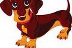 Weiner Dog